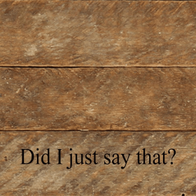 Did I just say that-... Wall Sign