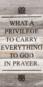 What a privilege to carry everythin... Wall Sign