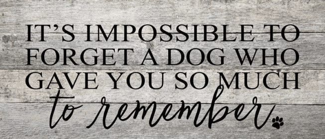It's impossible to forget a dog who... Wall Sign