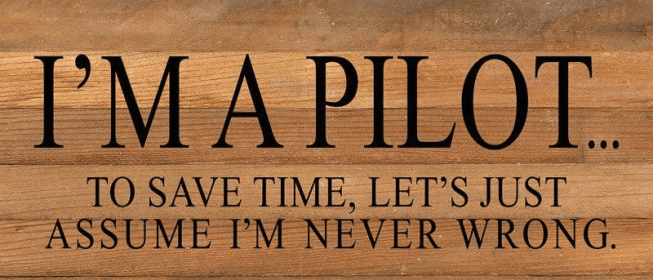 I'm a pilot... to save time, let's j... Wall Sign