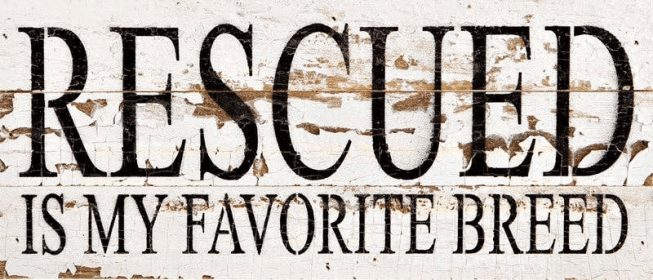 Rescued is my favorite breed... Wall Sign