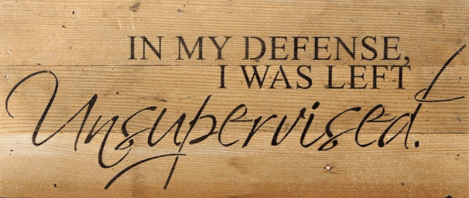 In my defense, I was left...  Wall Sign