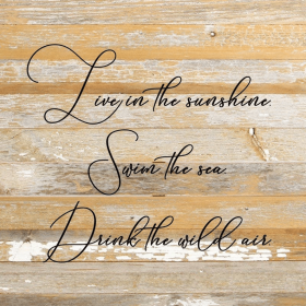 Live in the sunshine Wall Sign