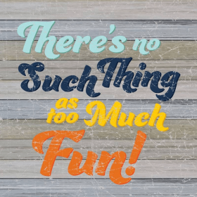 There's No Such Thing As Too Much Fun!... Wall Sign