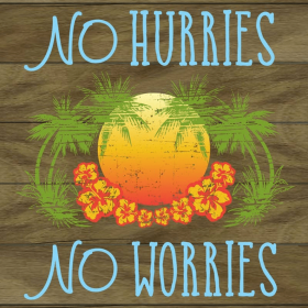 No Hurries, No Worries... Wall Sign