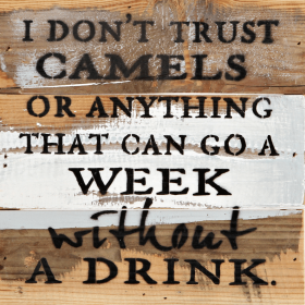I don't trust camels or anything that ca... Wall Sign